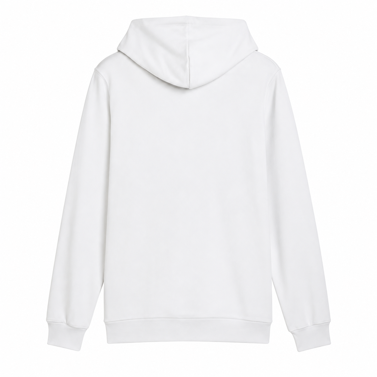 Sudadera Hoddie Puma Rayados De Monterrey Con Capucha